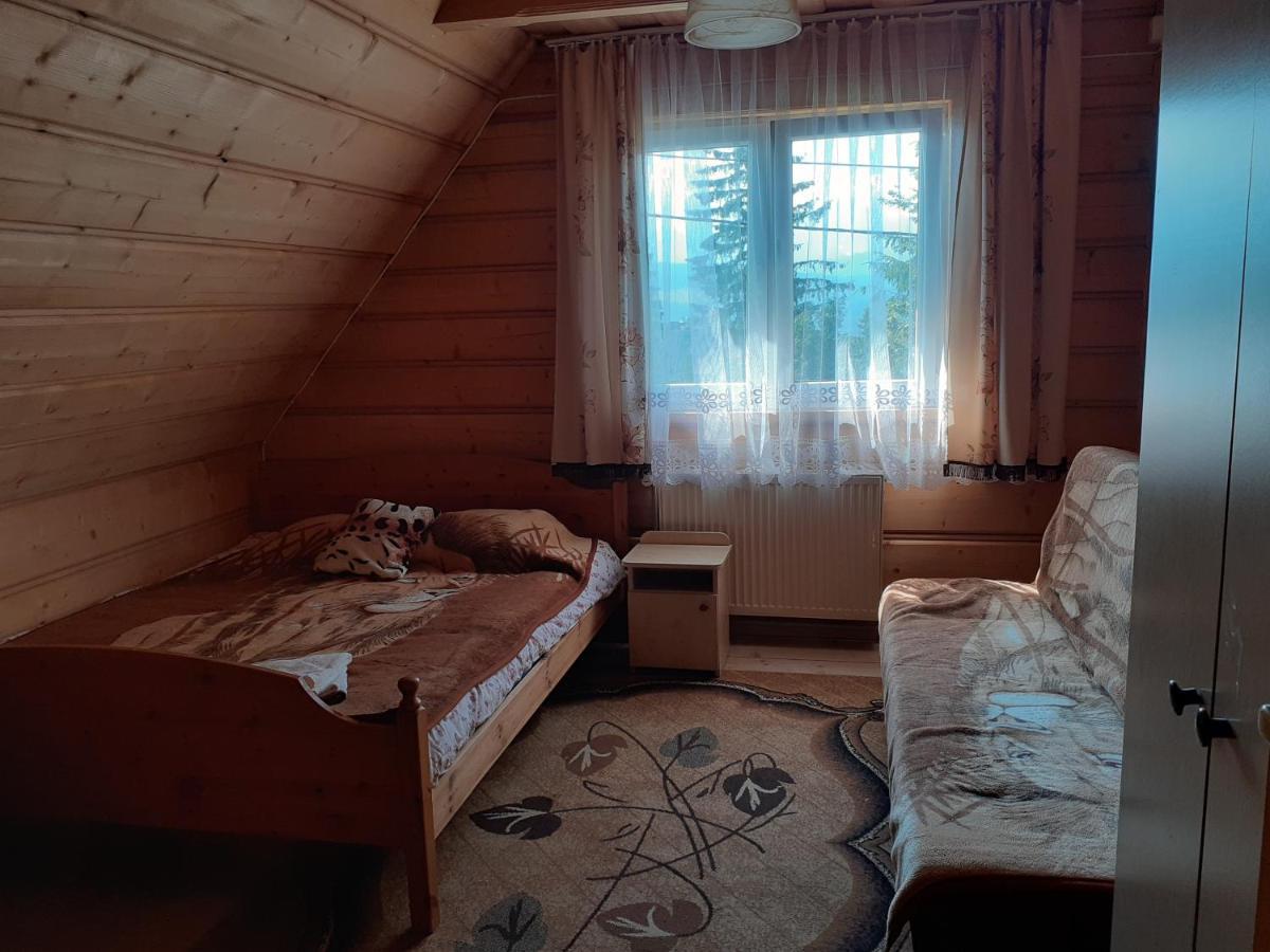 Pod Modrzewiem Bukowina Tatrzańska Dış mekan fotoğraf