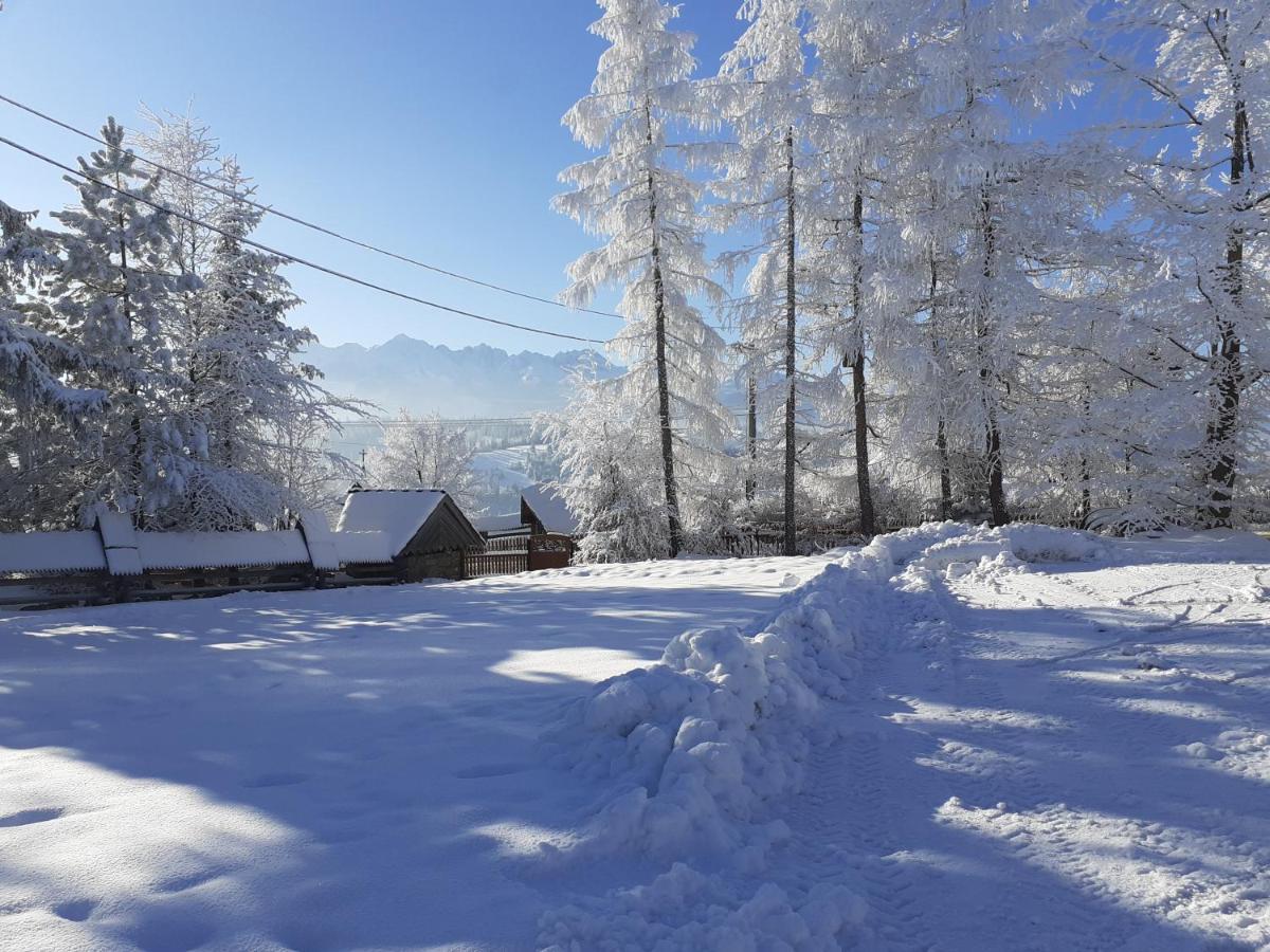 Pod Modrzewiem Bukowina Tatrzańska Dış mekan fotoğraf